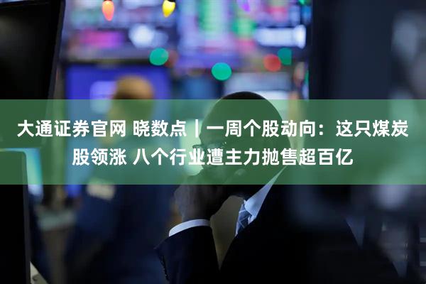 大通证券官网 晓数点｜一周个股动向：这只煤炭股领涨 八个行业遭主力抛售超百亿