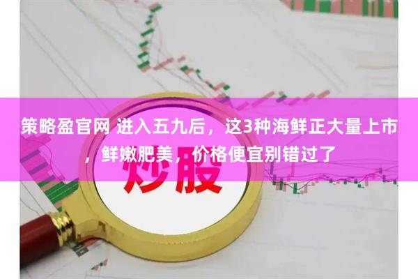 策略盈官网 进入五九后，这3种海鲜正大量上市，鲜嫩肥美，价格便宜别错过了